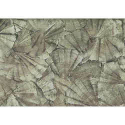 JV Elegáns kagyló mintás zöld vinyl tapéta Teti Green 70 cm X 10 m