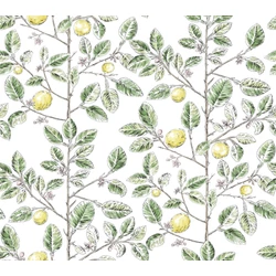 York Monokróm citromfás zöld vlies tapéta Limoncello Toile Green 68,58 cm X 8,22 m