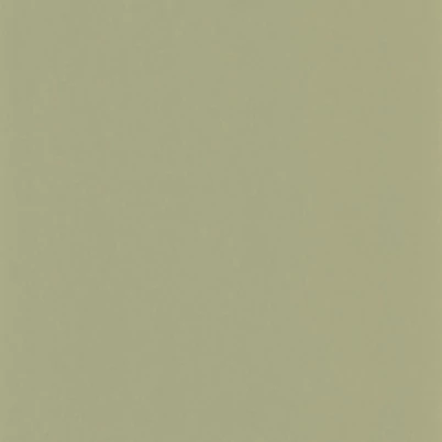 Casadeco Matt barnás zöld vlies tapéta Pigments Argile Verte  53 cm X 10 m