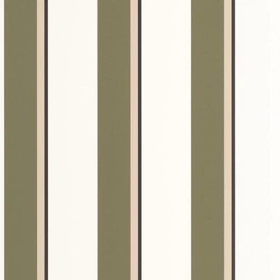 Caselio Elegáns csíkos zöld vinyl tapéta fekete szegéllyel Linear Vert Kaki 53 cm X 10 m