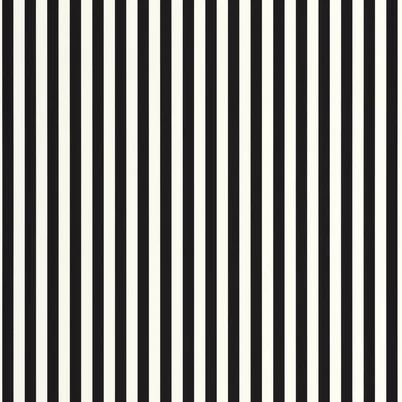 Caselio Modern vékony csíkos fekete-fehér vinyl tapéta Talea Noir Blanc 53 cm X 10 m