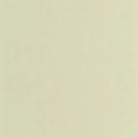 Casadeco Texturált pezsgő színű vinyl tapéta Nest Vert The 53 cm X 10 m