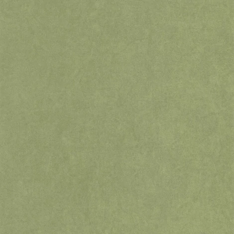 Casadeco Zöld vlies tapéta Florescence Kiosque Vert Cactus 53 cm X 10 m