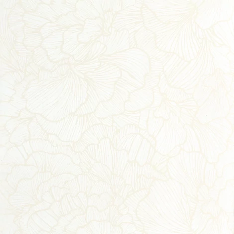 Caselio Óriás virágmintás fehér vlies tapéta Delicate Petals Blanc 53 cm X 10 m