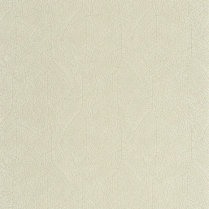 Casadeco Levélerezetes pezsgő színű vinyl tapéta Nola Vert D'eau 50 cm X 10 m