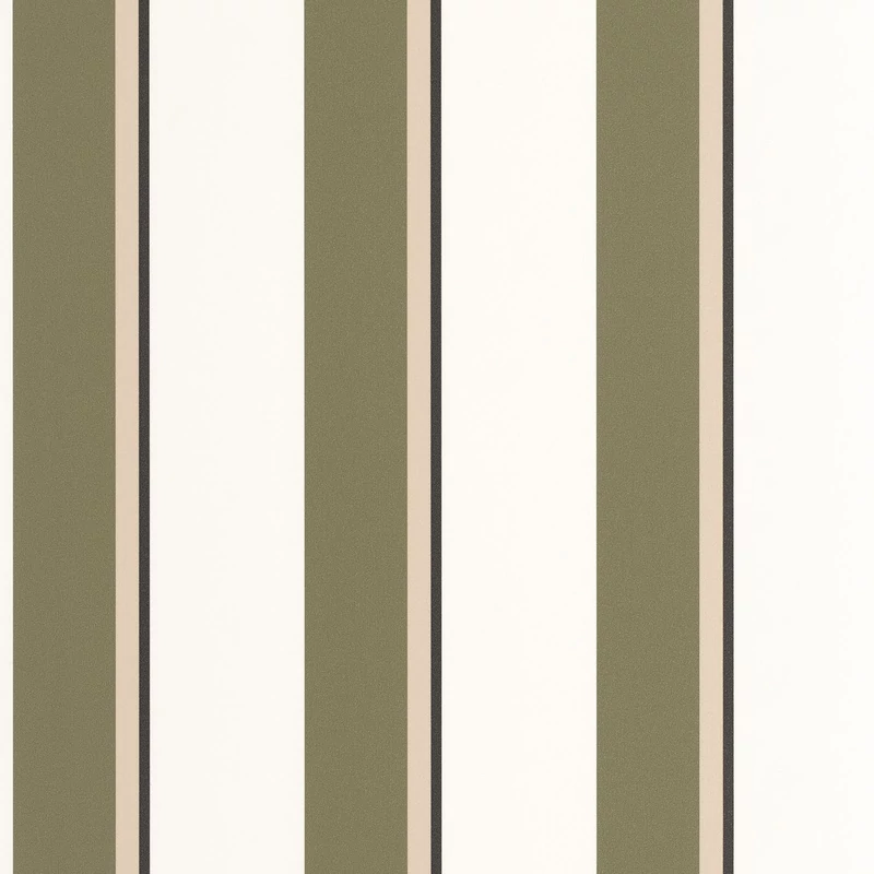 Caselio Elegáns csíkos zöld vinyl tapéta fekete szegéllyel Linear Vert Kaki 53 cm X 10 m