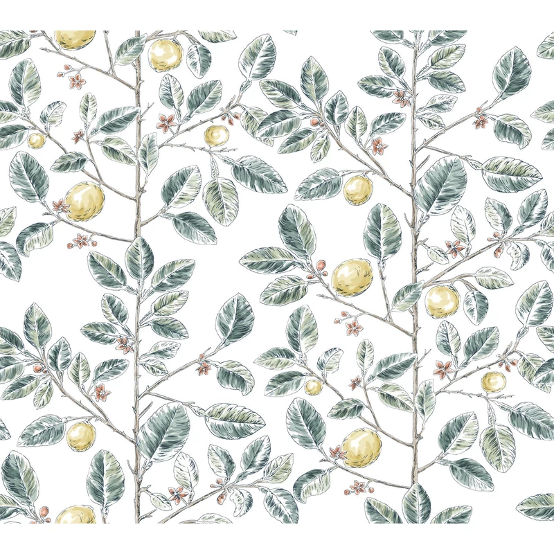 York Monokróm citromfás zöld vlies tapéta Limoncello Toile Forest 68,58 cm X 8,22 m