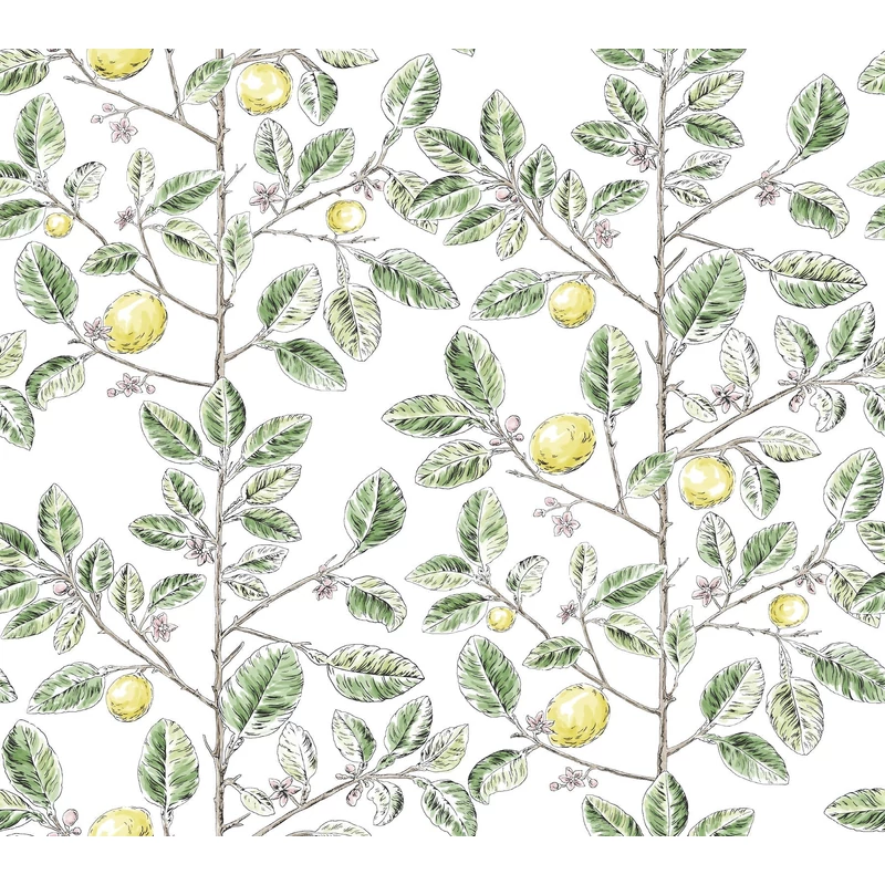 York Monokróm citromfás zöld vlies tapéta Limoncello Toile Green 68,58 cm X 8,22 m